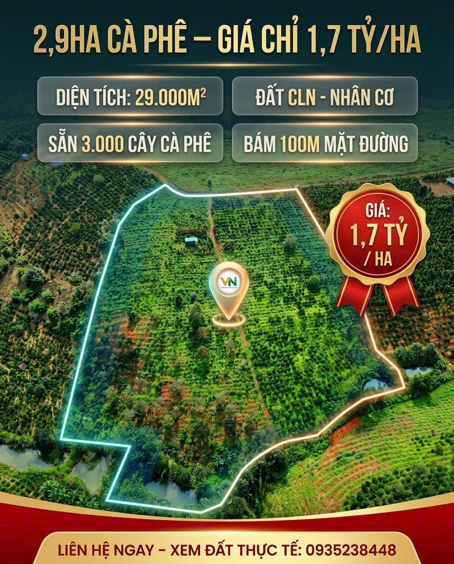 2,9HA CÀ PHÊ – GIÁ CHỈ 1,7 TỶ/HA