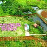 1,99 TỶ – SỞ HỮU 5,5 SÀO ĐẤT VƯỜN, CÓ NHÀ Ở, AO LỚN & 500 CÂY CÀ PHÊ