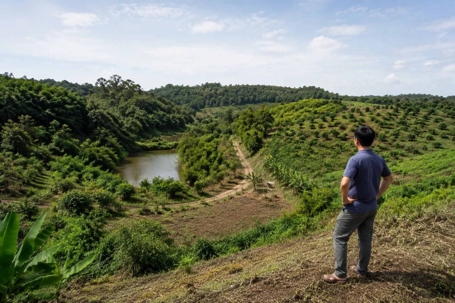 Toàn cảnh một khu đất farm tại Đắk Nông được nhìn từ góc thấp, thể hiện người khảo sát đang quan sát sự kết hợp giữa khu đất, lối tiếp cận, nguồn nước tự nhiên và các yếu tố cần câ