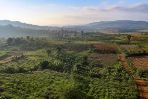 Toàn cảnh khu đất farm Trường Xuân nhìn từ góc cao tự nhiên, thể hiện sự phân bố diện tích lớn, địa hình và các khu vực cây trồng khác nhau để người xem hình dung bước khảo sát ban