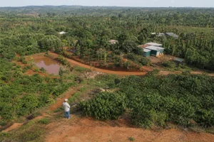 Góc nhìn toàn cảnh một khu đất farm tại Đắk Nông với người khảo sát đang quan sát địa hình, tuyến đường nội bộ và khu vực canh tác để đánh giá điều kiện vận hành thực tế