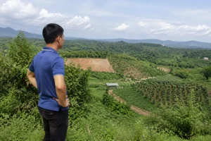 Người mua bất động sản Đắk Nông quan sát khu đất từ một điểm cao tự nhiên để hình dung sự khác biệt giữa hiện trạng thực tế và thông tin cần kiểm tra trước giao dịch.