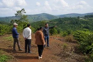 Người mua đang khảo sát một khu đất tại Đắk Nông với cảnh quan nông thôn Việt Nam, thể hiện bước kiểm tra thực tế trước khi giao dịch