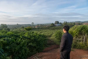 Toàn cảnh một khu đất tại Nhân Cơ, Đắk Nông với người mua đứng ở ranh giới giữa khu dân cư và khu đất sản xuất, quan sát sự khác biệt về không gian sử dụng để cân nhắc mục tiêu tài