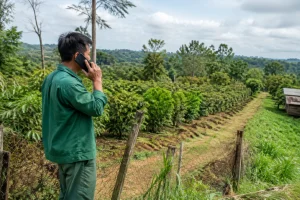 Chủ tài sản ở xa trao đổi với người hỗ trợ quản lý đất farm tại Đắk Nông qua cuộc gọi từ xa trong khi người hỗ trợ đứng tại khu đất kiểm tra hiện trạng, thể hiện nhu cầu phối hợp v