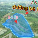 VƯỜN ĐẸP 3,3 ha– CÀ PHÊ & TIÊU
