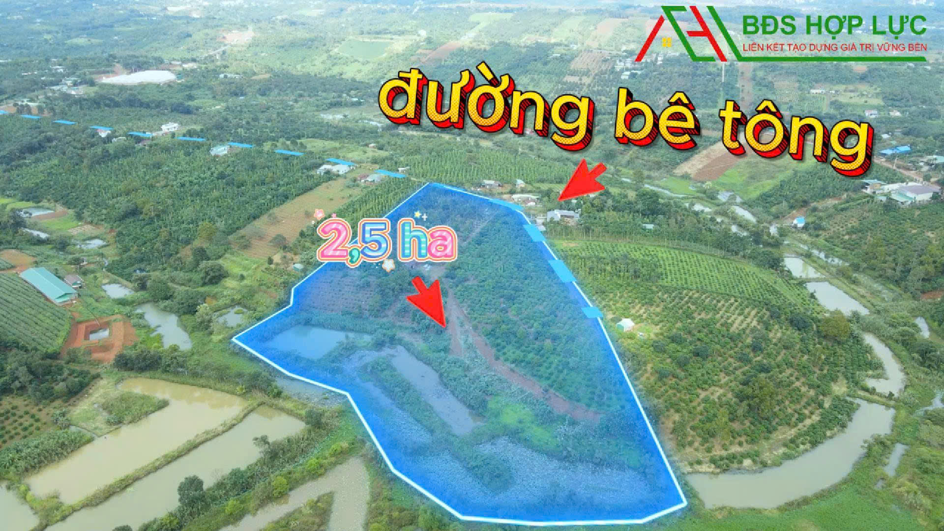 VƯỜN ĐẸP 3,3 ha– CÀ PHÊ & TIÊU