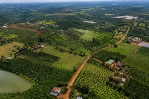 Toàn cảnh vùng đất rẫy tại Đắk Nông nhìn từ trên cao với sự giao thoa giữa khu sản xuất nông nghiệp, tuyến đường nông thôn và khu vực đang thay đổi không gian sử dụng đất, gợi mở n