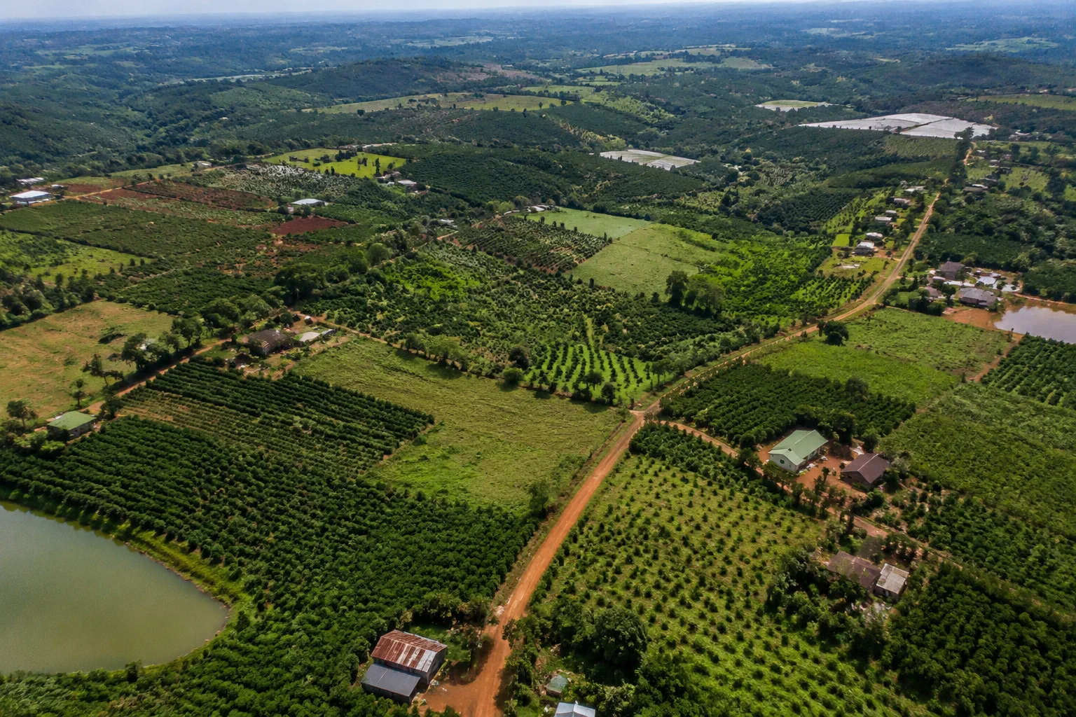 Toàn cảnh vùng đất rẫy tại Đắk Nông nhìn từ trên cao với sự giao thoa giữa khu sản xuất nông nghiệp, tuyến đường nông thôn và khu vực đang thay đổi không gian sử dụng đất, gợi mở n