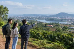 Đất Gia Nghĩa phù hợp với nhu cầu nào? Cách phân loại trước khi tìm mua