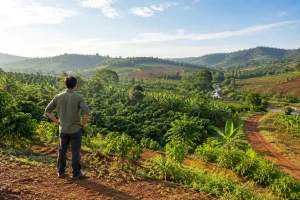 Toàn cảnh một khu đất rẫy tại Đắk Nông được quan sát để đánh giá khả năng làm farm với địa hình đồi thoải, cây trồng bản địa và lối tiếp cận thực tế